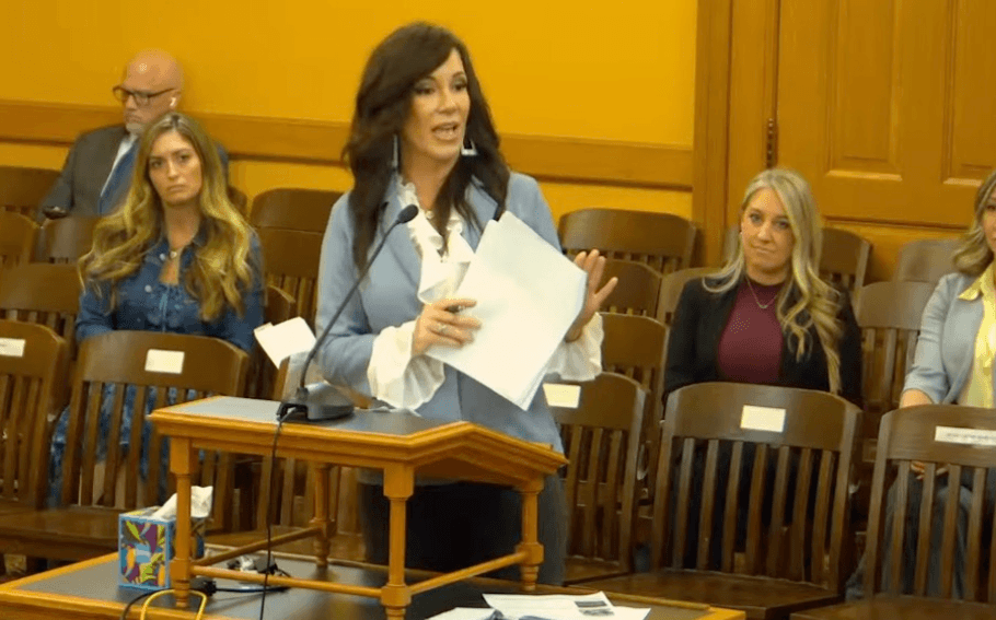 Meg speaking before a child welfare committee about family court and child welfare accountability.